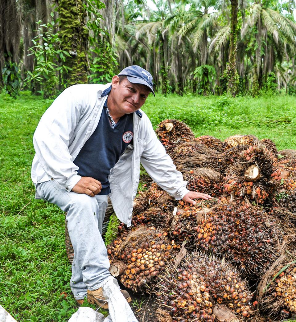 Organic palm oil smallholder farmer